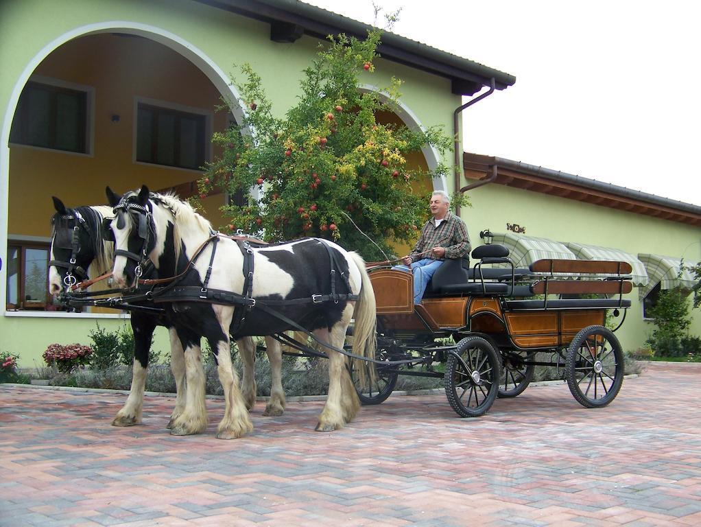 Agriturismo Nonna Rina San Liberale Luaran gambar