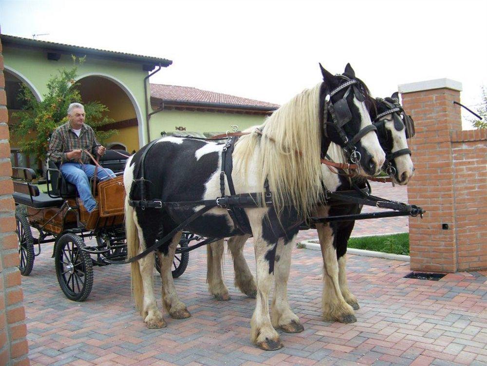 Agriturismo Nonna Rina San Liberale Luaran gambar