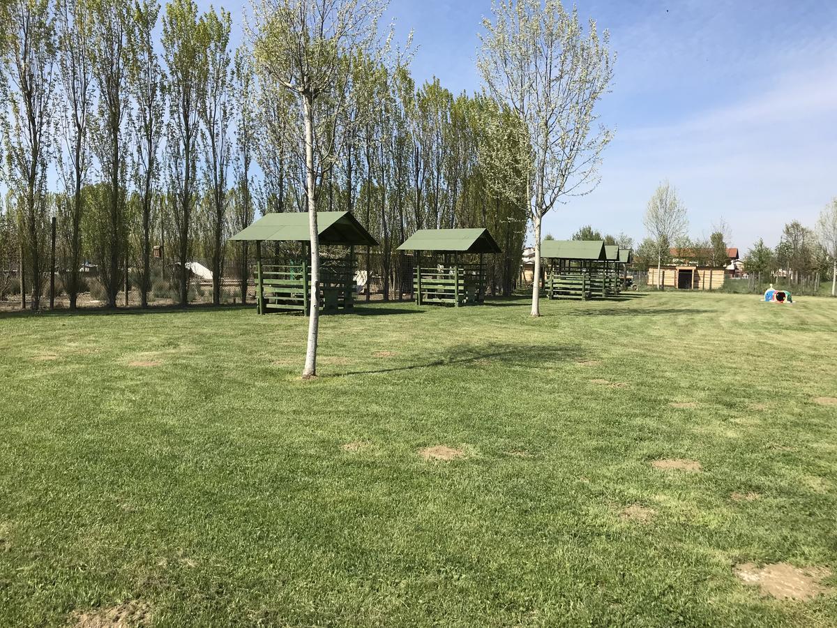 Agriturismo Nonna Rina San Liberale Luaran gambar
